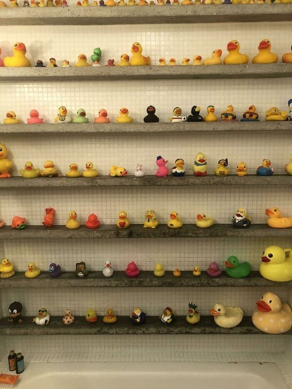 “The Airbnb That I’m Staying In Has A Collection Of Rubber Ducks In The Bathroom Wall”