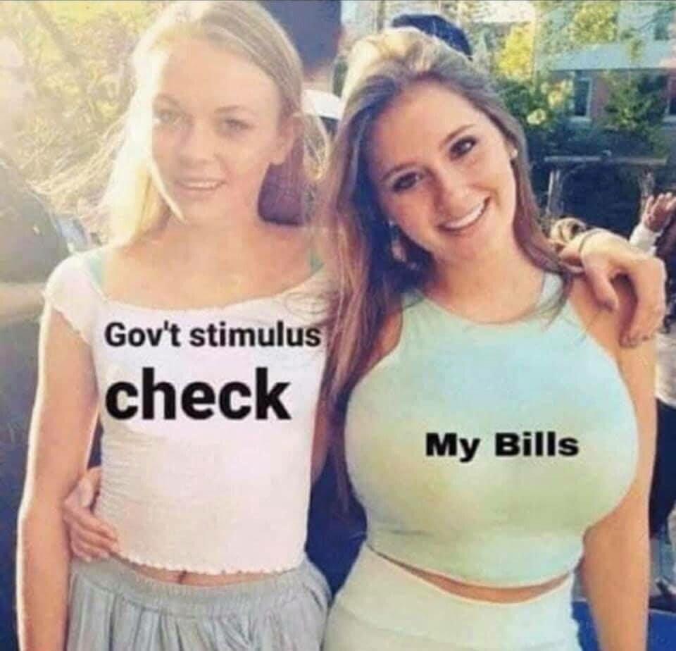 my monthly income vs my bills - Gov't stimulus check My Bills