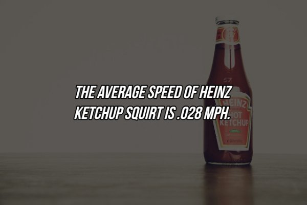 beer bottle - The Average Speed Of Heinz Ketchup Squirt Is .028 Mph. Ot Ketchup Inzi