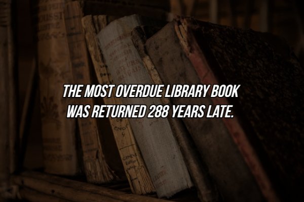 mc dudu - Esi The Most Overdue Library Book Was Returned 288 Years Late. Ed