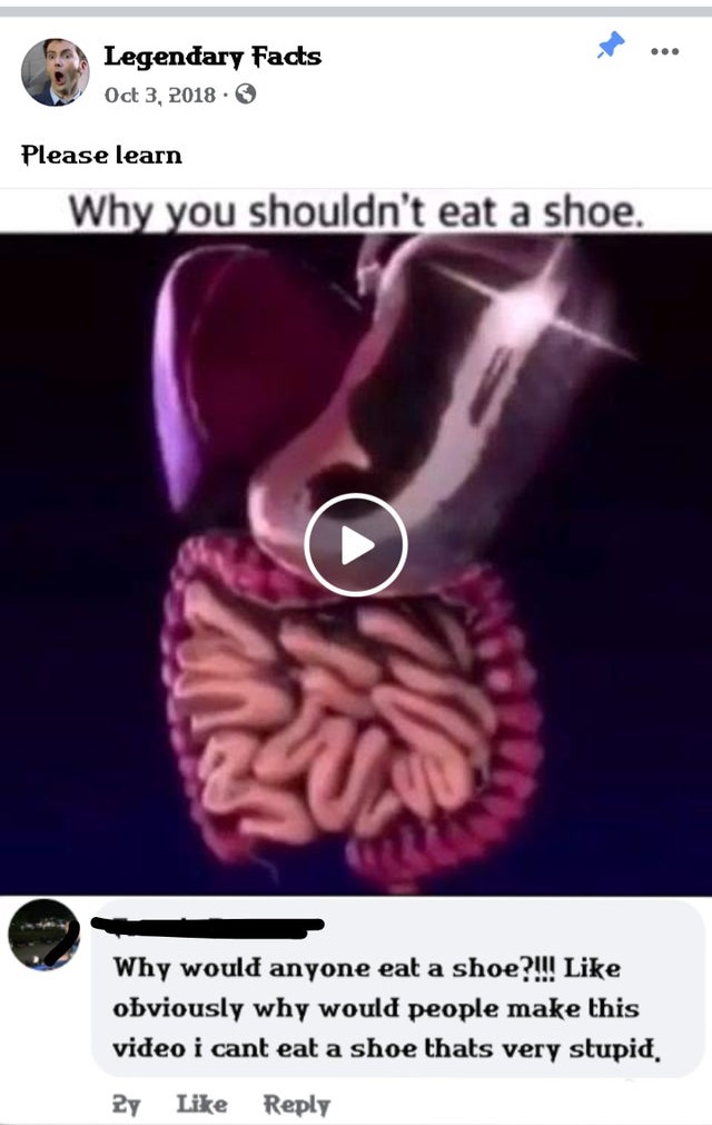.. Legendary Facts Please learn Why you shouldn't eat a shoe. Why would anyone eat a shoe?!!! obviously why would people make this video i cant eat a shoe thats very stupid. Zy