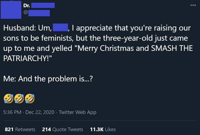 screenshot - Dr. Ooo Husband Um, I, I appreciate that you're raising our sons to be feminists, but the threeyearold just came up to me and yelled "Merry Christmas and Smash The Patriarchy!" Me And the problem is...? Twitter Web App 821 214 Quote Tweets