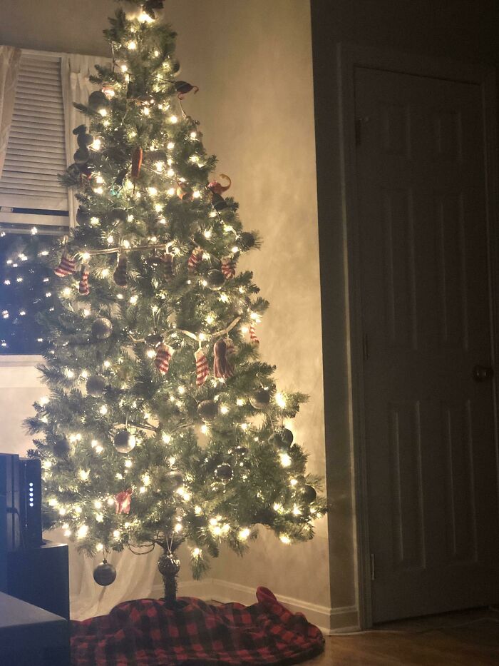 After Being Married For 6 Years And Being Dirt Poor For 5 Of Them, My Wife And I Bought Our First Christmas Tree