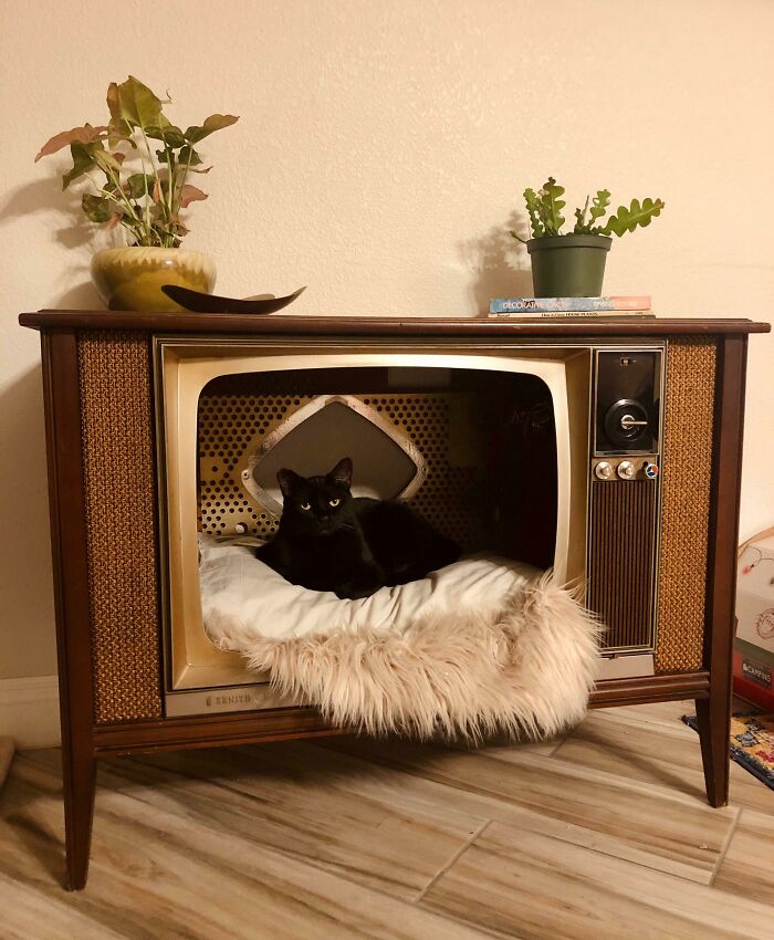 1960s Zenith TV. We Took Out The Tube. Books, Bimorphic Dish, And Glazed California Pottery Plant Pot Were Thrifted Too