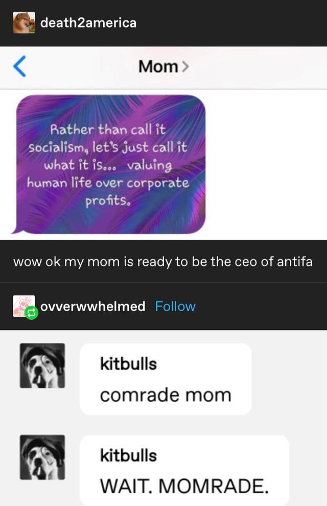 multimedia - death2america Mom> Rather than call it Socialism, let's just call it what it is... valuing human life over corporate profits. wow ok my mom is ready to be the ceo of antifa ovverwwhelmed kitbulls comrade mom kitbulls Wait. Momrade.