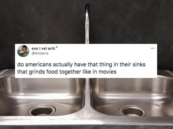 funny things americans do - do americans actually have that thing in their sinks that grinds food together in movies