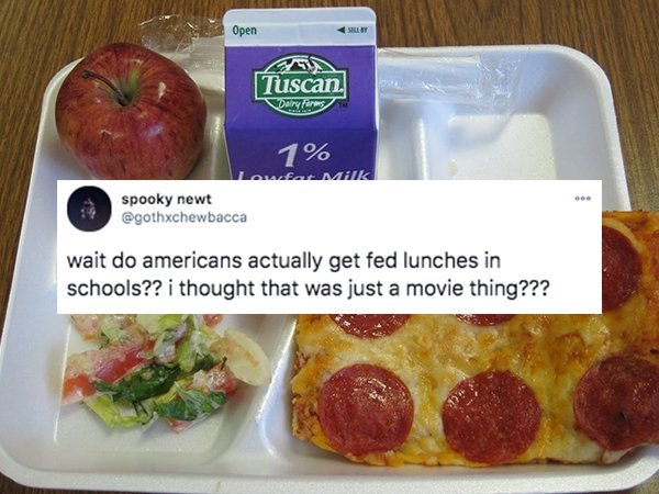 funny things americans do - wait do americans actually get fed lunches in schools?? i thought that was just a movie thing???