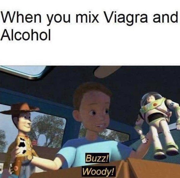 woody and andy - When you mix Viagra and Alcohol el Buzz! Woody!