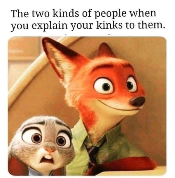 kinky memes - The two kinds of people when you explain your kinks to them.