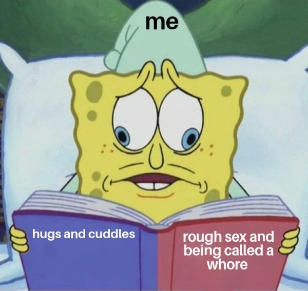 spongebob book meme - me hugs and cuddles rough sex and being called a whore