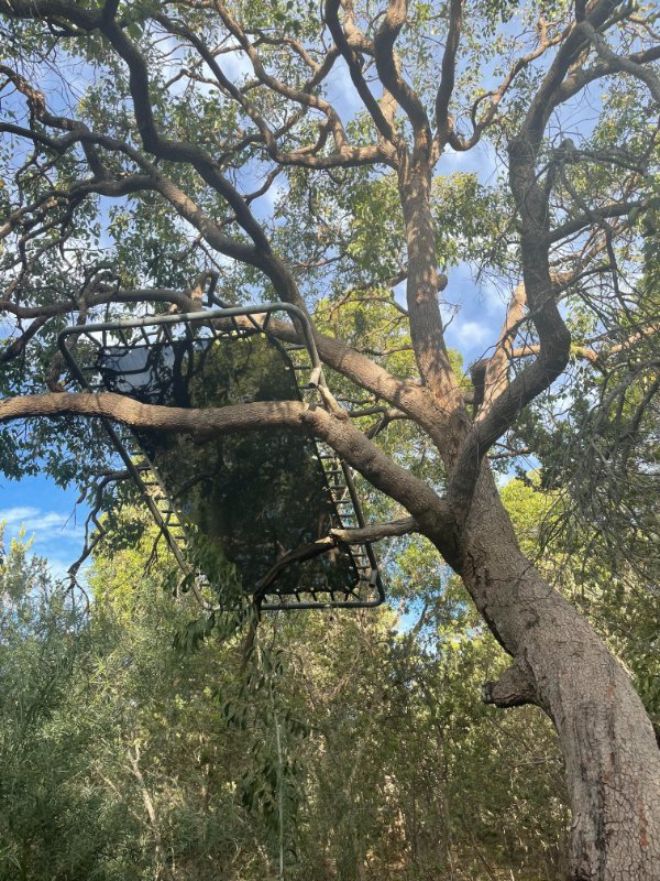 “My neighbours had a party last night. That’s my trampoline.”