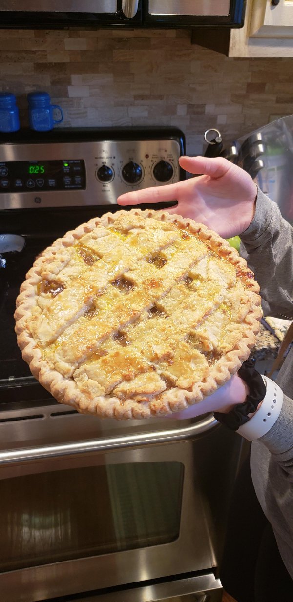 “My first apple pie I made last night got left on the roof of my car never to be seen again.”