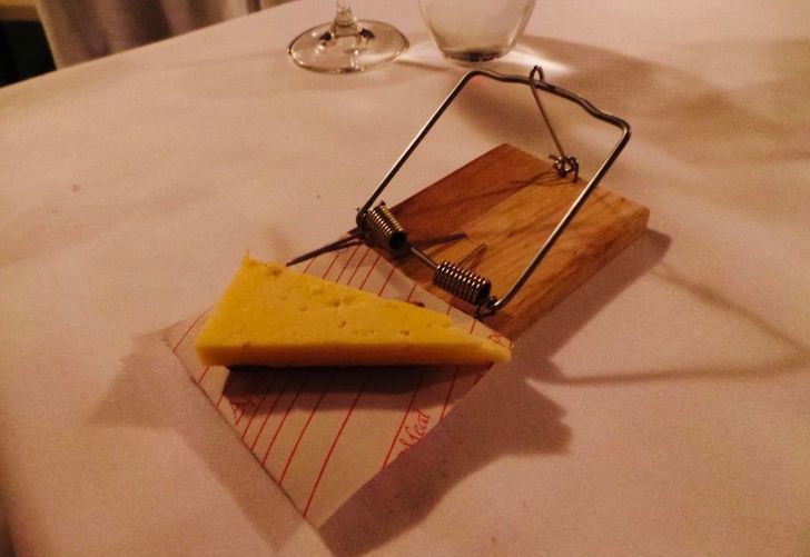 “Cheese served on a mouse trap.. no fingers were harmed.”