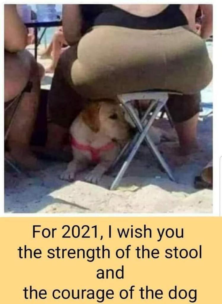 strength of the chair and faith - For 2021, I wish you the strength of the stool and the courage of the dog