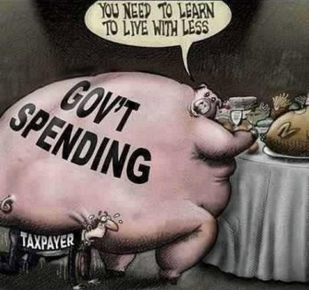 taxpayer meme - You Need To Learn To Liye With Less Govt Spending Taxpayer