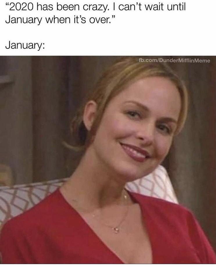 office 2020 meme - 2020 has been crazy. I can't wait until January when it's over." January fb.comDunder Mifflin Meme