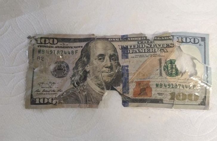 “My dog ate $100 off of my nightstand. It was supposed to go toward bills but I doubt the bank will accept it now...”