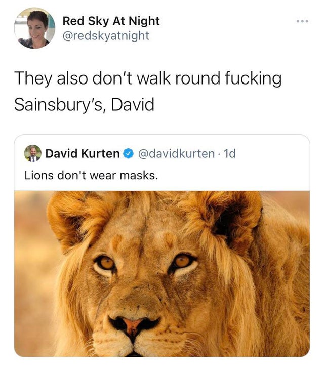 lions - Red Sky At Night They also don't walk round fucking Sainsbury's, David David Kurten . 1d Lions don't wear masks.