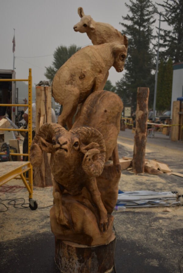 chainsaw carving -