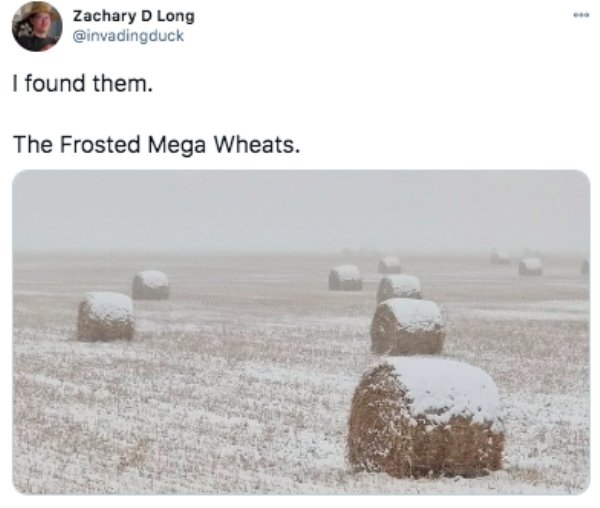 funny tweets - snow - Zachary D Long I found them. The Frosted Mega Wheats.