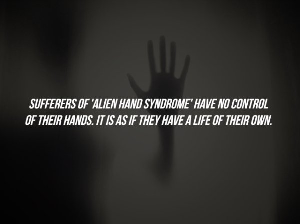 darkness - Sufferers Of 'Alien Hand Syndrome' Have No Control Of Their Hands. It Is As If They Have A Life Of Their Own.