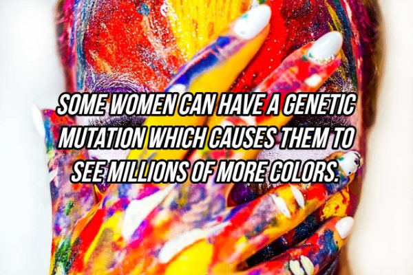 Photograph - Some Women Can Have A Genetic Mutation Which Causes Them To See Millions Of More Colors.