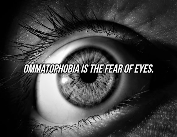 Ommatophobia Is The Fear Of Eyes.