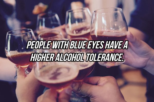 Alcoholic drink - People With Blue Eyes Have A Higher Alcohol Tolerance.