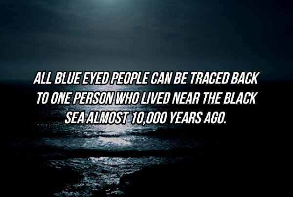 atmosphere - All Blue Eyed People Can Be Traced Back To One Person Who Lived Near The Black Sea Almost 10,000 Years Ago.