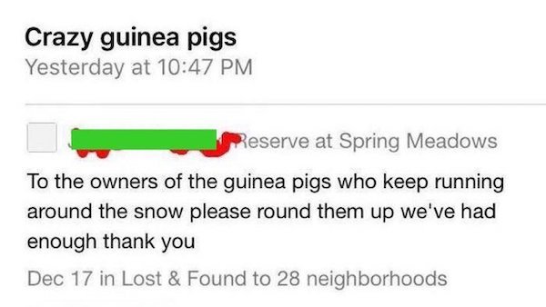 29 People With Crazy Neighbors.