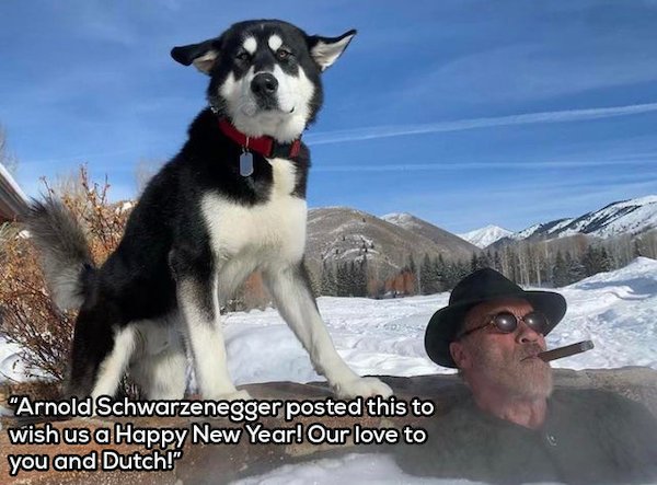 dog - "Arnold Schwarzenegger posted this to wish us a Happy New Year! Our love to you and Dutch!"