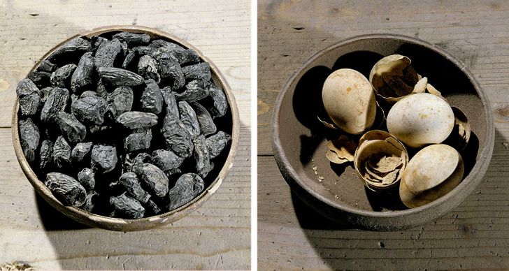 Food from ancient Pompeii: almost 2,000 years old