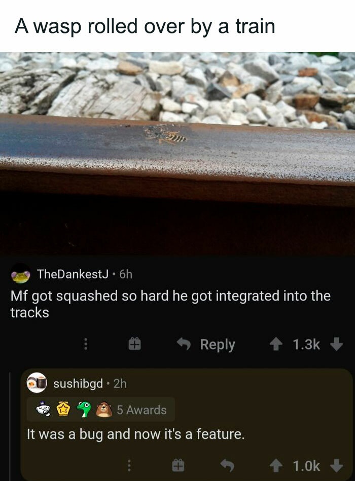 funny comments - A wasp rolled over by a train - Mf got squashed so hard he got integrated into the tracks - It was a bug and now it's a feature.