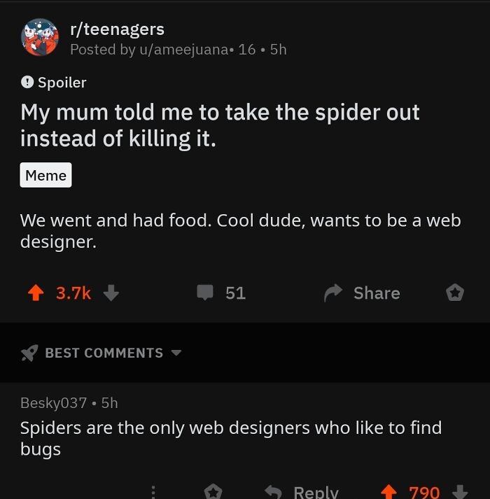 funny comments - My mum told me to take the spider out instead of killing it. Meme We went and had food. Cool dude, wants to be a web designer. - Spiders are the only web designers who to find bugs
