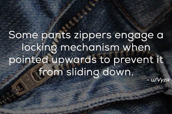 Jeans - Pullitie Some pants zippers engage a locking mechanism when pointed upwards to prevent it from sliding down. uVyzik
