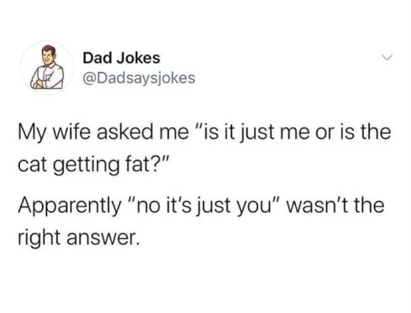 funny marriage memes - Dad Jokes My wife asked me is it just me or is the cat getting fat? apparently no it's just you wasn't the right answer