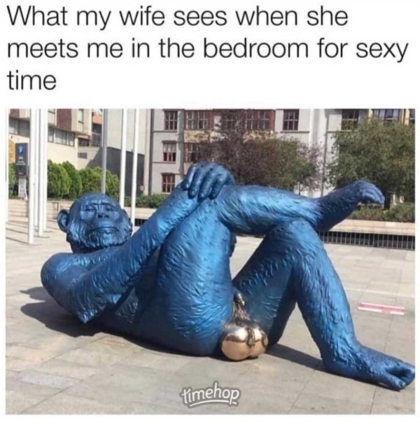 funny marriage memes - What my wife sees when she meets me in the bedroom for sexy time
