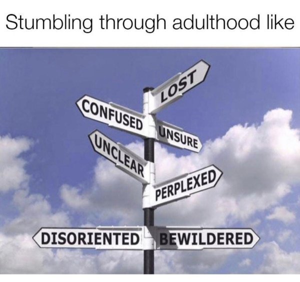 funny pics and memes - Stumbling through adulthood Confused Unsure Lost Unclear Perplexed Disoriented Bewildered