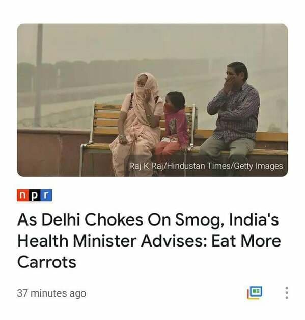 human behavior - Raj K RajHindustan TimesGetty Images npr As Delhi Chokes On Smog, India's Health Minister Advises Eat More Carrots 37 minutes ago