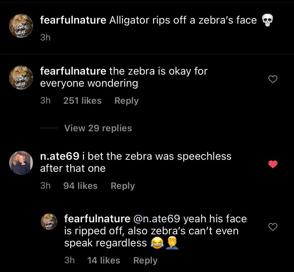 screenshot - fearfulnature Alligator rips off a zebra's face Paul Nature 3h Plakful Nature fearfulnature the zebra is okay for everyone wondering 3h 251 View 29 replies n.ate69 i bet the zebra was speechless after that one 3h 94 Ma fearfulnature .ate69 ye