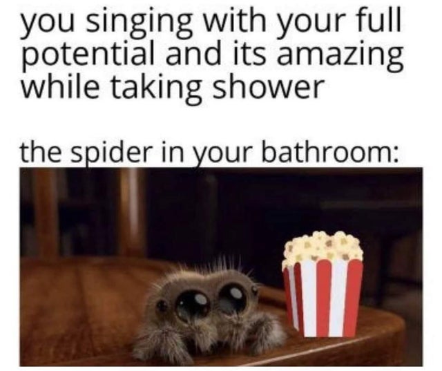 fauna - you singing with your full potential and its amazing while taking shower the spider in your bathroom 0