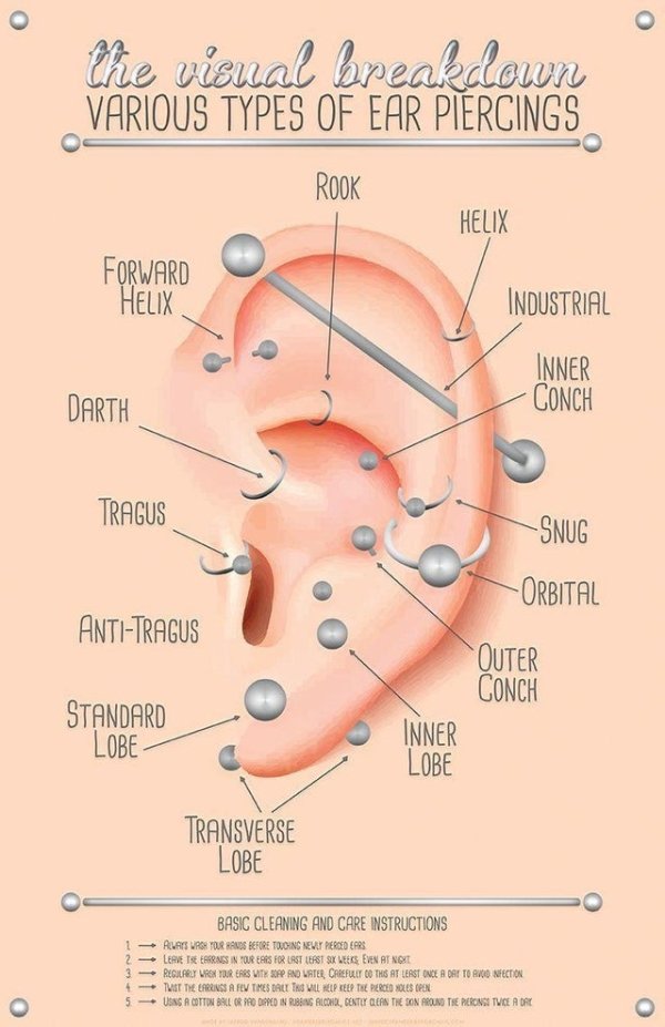 ear piercing chart - the visual breakdown Various Types Of Ear Piercings Rook Helix Forward Helix Industrial Inner Conch Darth Tragus Snug Orbital AntiTragus Outer Conch Standard Lobe Inner Lobe Transverse Lobe Basic Cleaning And Care Instructions 2 2 3 4