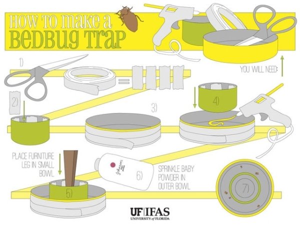 bedbug trap - How To make a Bedbus Trap You Wilne 2 4 3 Place Furniture Les In Small Bowl 6 Sprinkle Baby Powdern Cuter Bowl 5 7 Ufifas UniversityFlorida