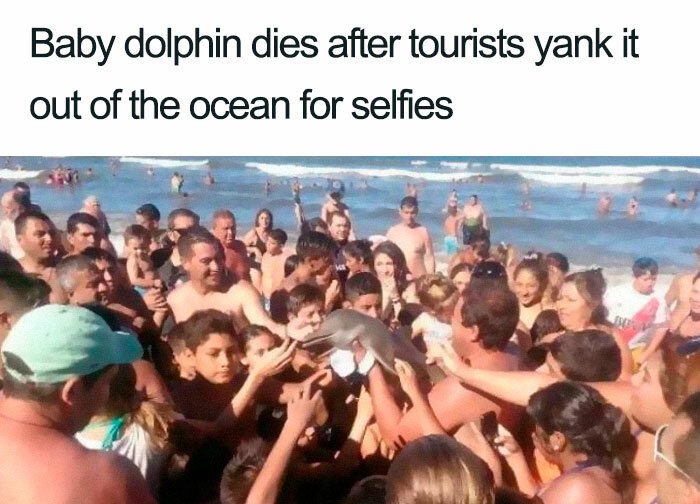argentina baby dolphin - Baby dolphin dies after tourists yank it out of the ocean for selfies On