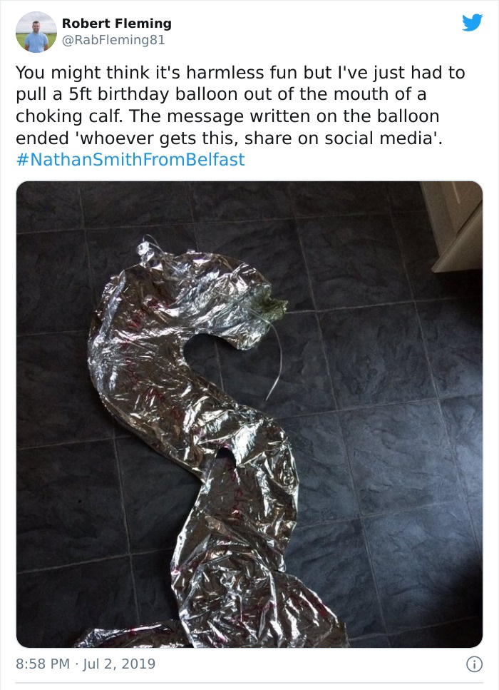 Robert Fleming You might think it's harmless fun but I've just had to pull a 5ft birthday balloon out of the mouth of a choking calf. The message written on the balloon ended 'whoever gets this, on social media'. Smith From Belfast