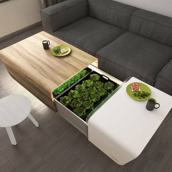 "This coffee table with a sliding, self-maintained micro-garden is the ultimate plant-parenting hack for small city apartments."