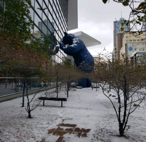 "A bear statue peeking inside the building"