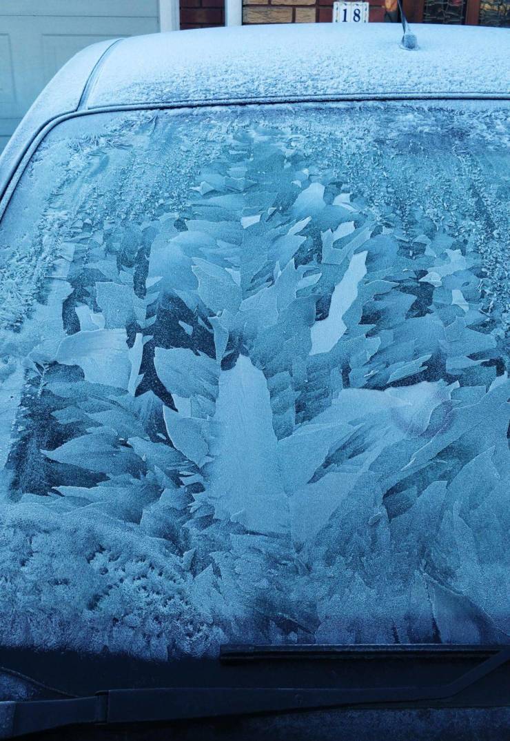 “The pattern of the ice on my windscreen this morning.”