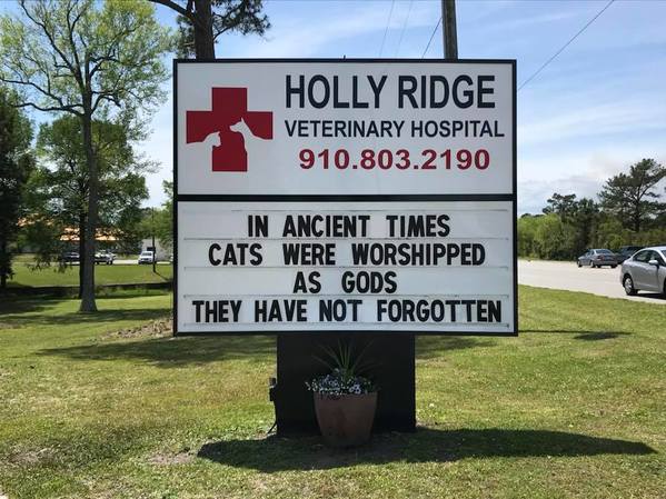 funny vet signs - Holly Ridge Veterinary Hospital 910.803.2190 In Ancient Times Cats Were Worshipped As Gods They Have Not Forgotten