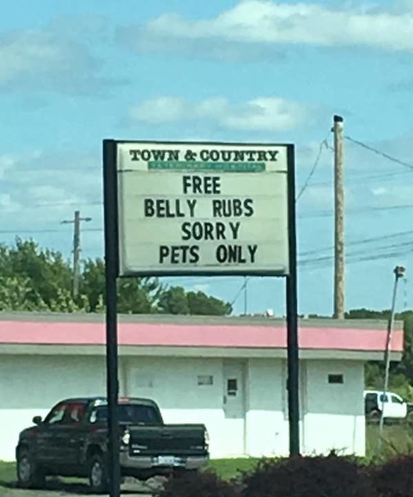 funny signs - Town & Country Free Belly Rubs Sorry Pets Only